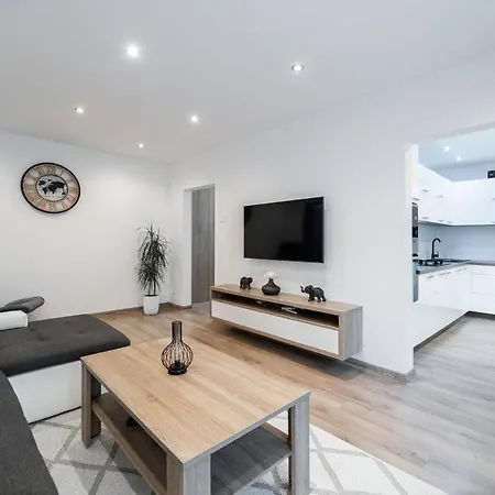 Spacious 1-bedroom Martin